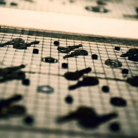 Hart & Art Gallery Vandrarhem Wrocław