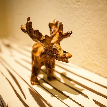 Vandrarhem Hart & Art Gallery