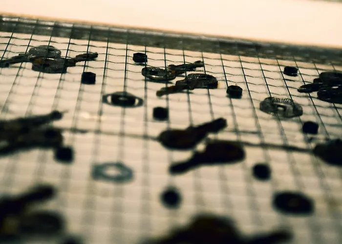 Hart & Art Gallery Vandrarhem Wrocław