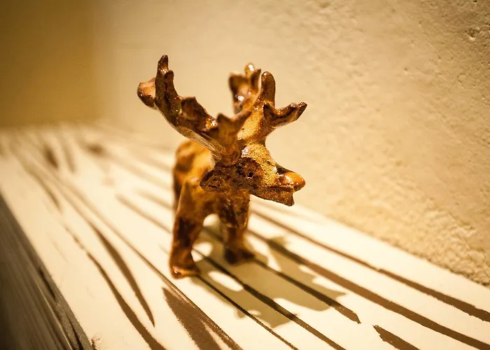 Vandrarhem Hart & Art Gallery