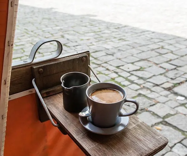 Hart & Art Gallery Hostel *